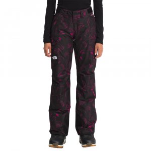 The North Face Freedom Insulated Ski Pant (Women's)